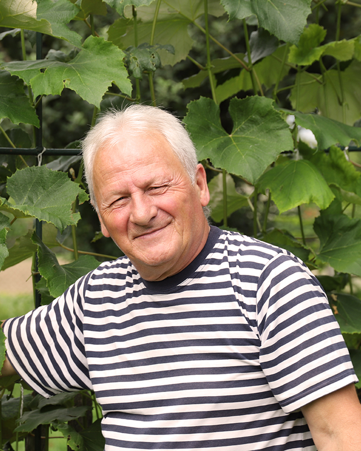 Mirko, Karlovac, Croaţia